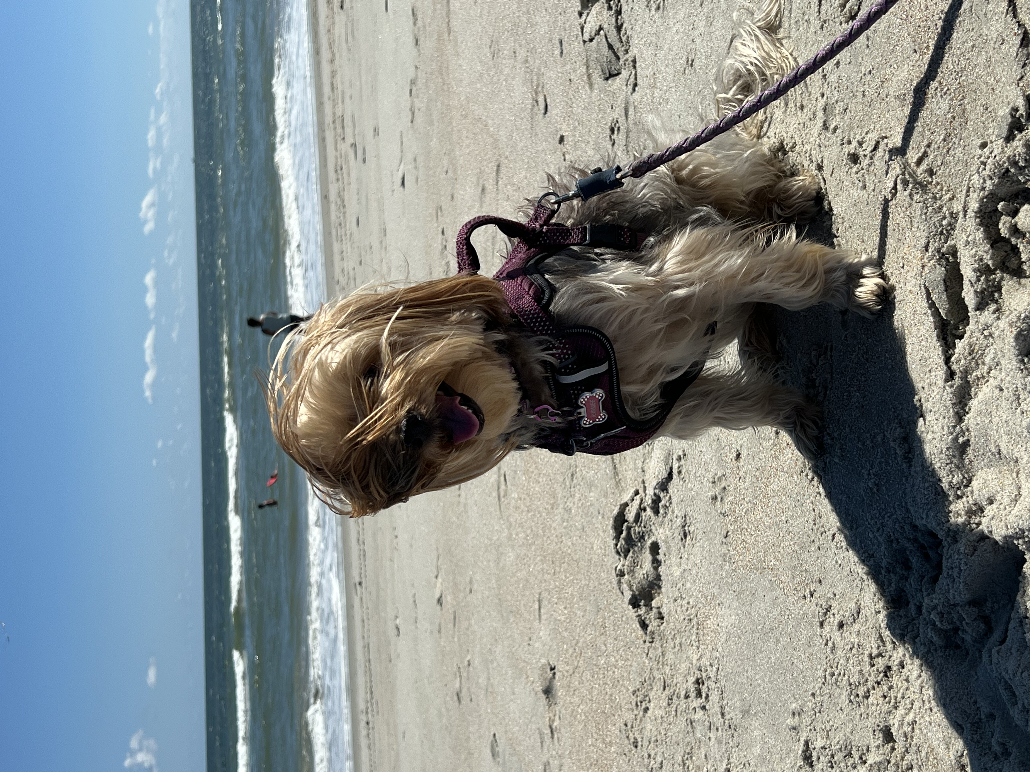 ./2024/10 - Myrtle Beach/IMG_2907.jpg